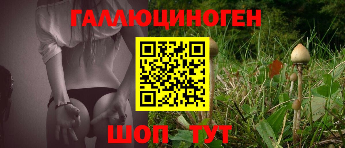 Семилуки  Галлюциногенные грибы ЛСД  Вход с VPN 